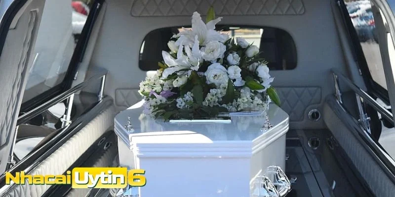 Bí ẩn đằng sau giấc mơ & điềm báo tâm linh