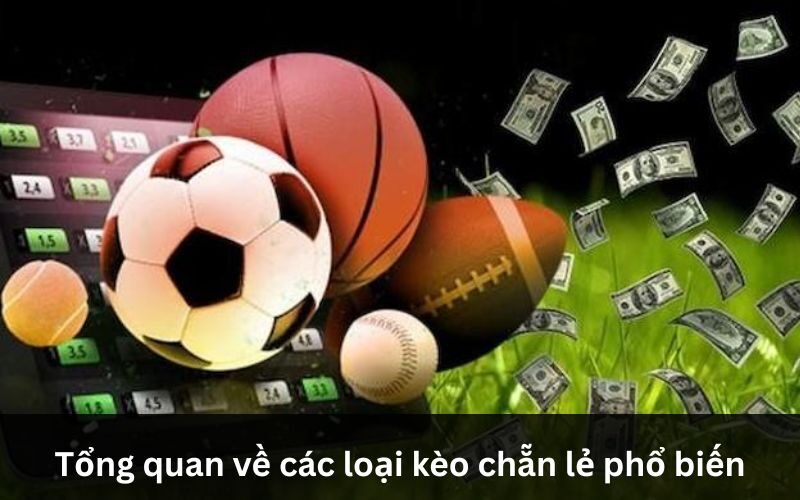 Khám phá các loại kèo chẵn lẻ phổ biến trong cá cược bóng đá