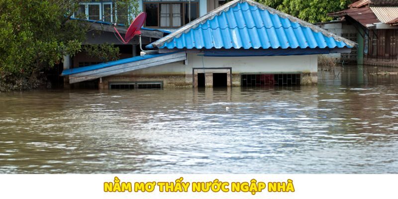 Giấc mộng nước ngập nhà phản ánh cảm giác choáng ngợp, bất an