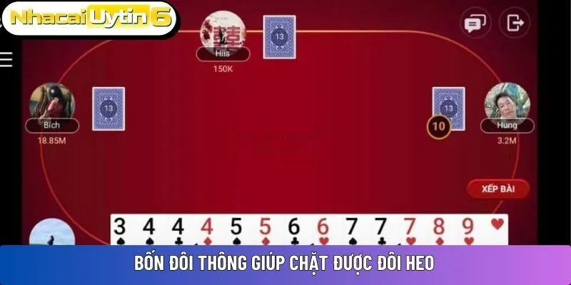 Bốn đôi thông giúp chặt được đôi heo