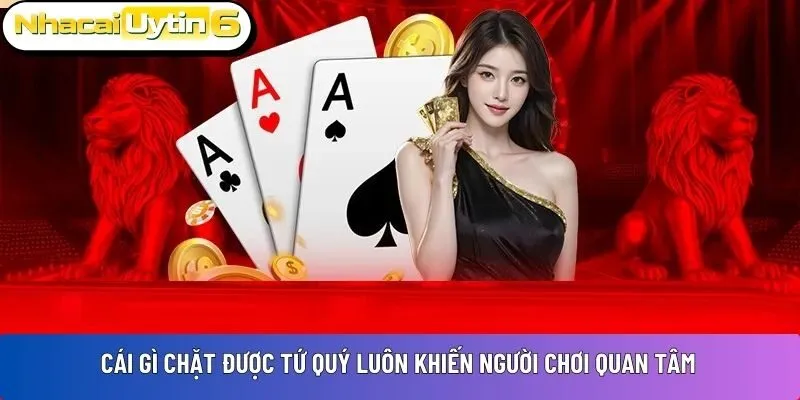 Cái gì chặt được tứ quý luôn khiến người chơi quan tâm