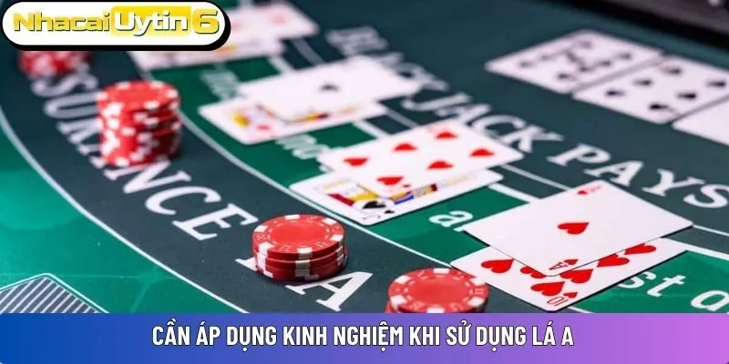 Cần áp dụng kinh nghiệm khi sử dụng lá A