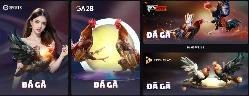 Nhiều sảnh đá gà tại AEV99 cho cược thủ lựa chọn