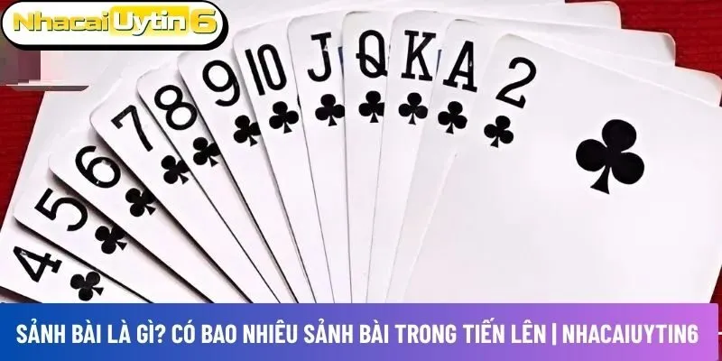 Sảnh bài là gì