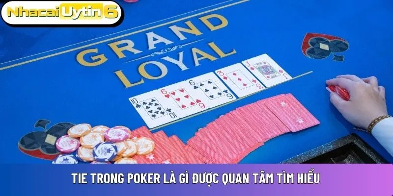 Tie trong Poker là gì được quan tâm tìm hiểu